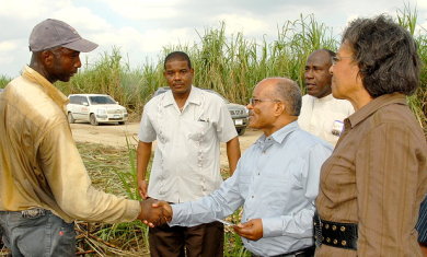 Governor General, His Excellency the Most Hon. Professor Kenneth Hall (2nd right) shakes the hands of Orville Clarke (left) cane cutter, during a tour of the Frome Sugar Factory in Westmoreland. Looking on are Mrs. Rheima Hall (right), wife of the Governor General; Aston Smith (third right), Vice President of Operations at Frome; and Sergeant Wint, member of the Governor General's security team.