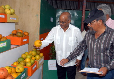 Governor-General, His Excellency the Most Hon. Professor Kenneth Hall (left), inspects a Valencia orange during his tour of the Juiciful processing plant in Bog Walk, St. Catherine on April 20. At right is the Citrus Growers Association's Technical Director, Dr. Percy Miller.