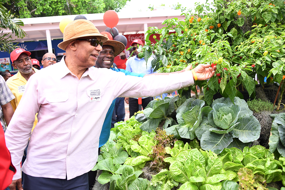 His Excellency Sir Patrick Allen picks a pepper from a display during his tour of the Denbigh Agricultural, Industrial and Food Show in Clarendon on Sunday (August 6, 2017).