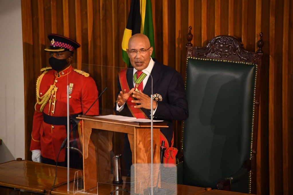 Governor-General Calls On All Sectors To Join Forces To Rebuild Economy