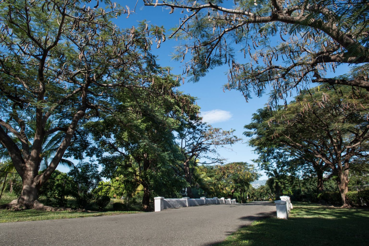 King's House Office of the of Jamaica